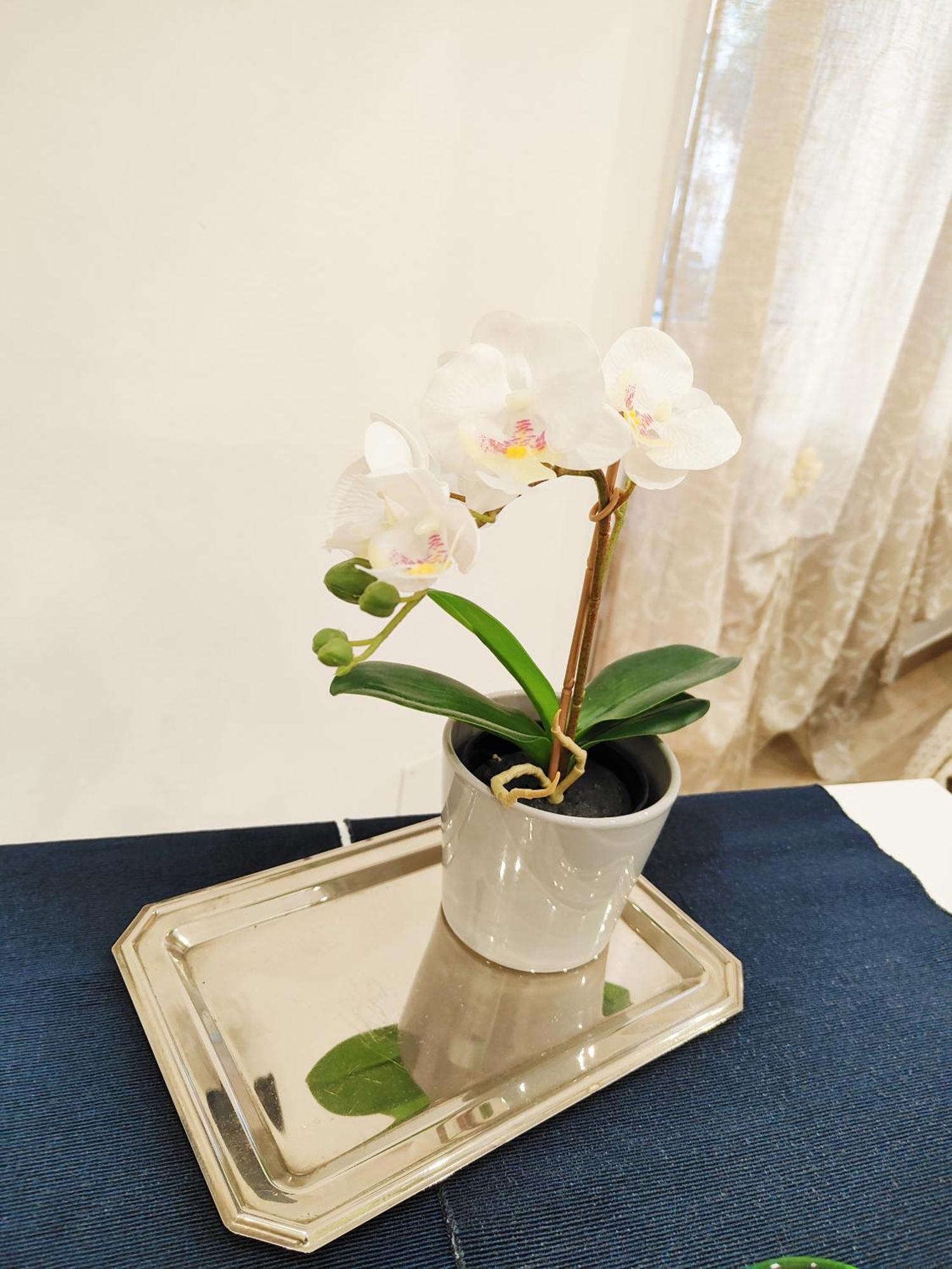 La Piccola Bomboniera Di Nord Appartement Milan